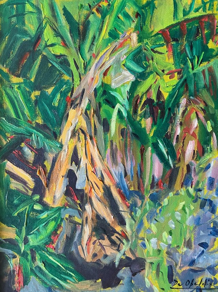 Pl tanos 2017 Mateo Sariel Galeria pl-tanos-2017-mateo-sariel-galeria