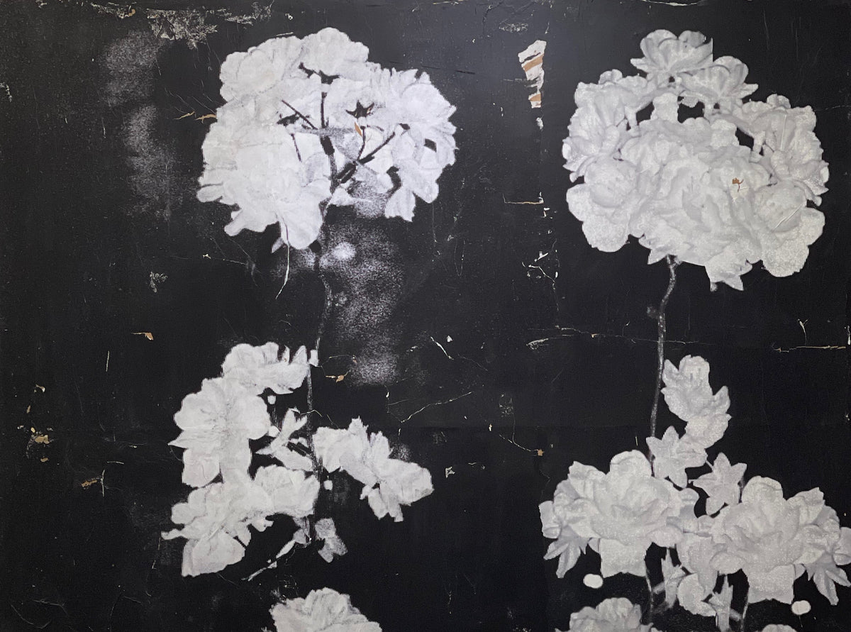 "Real Fake Flowers" Mateo Sariel Galeria